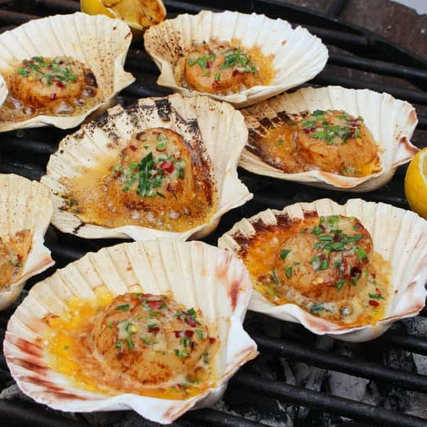 Grilled Scallops in the Shell