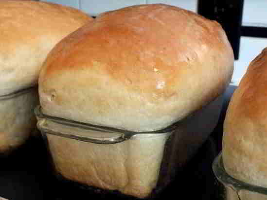 Honey Buttermilk Bread