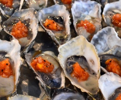Oysters Hot-Shot