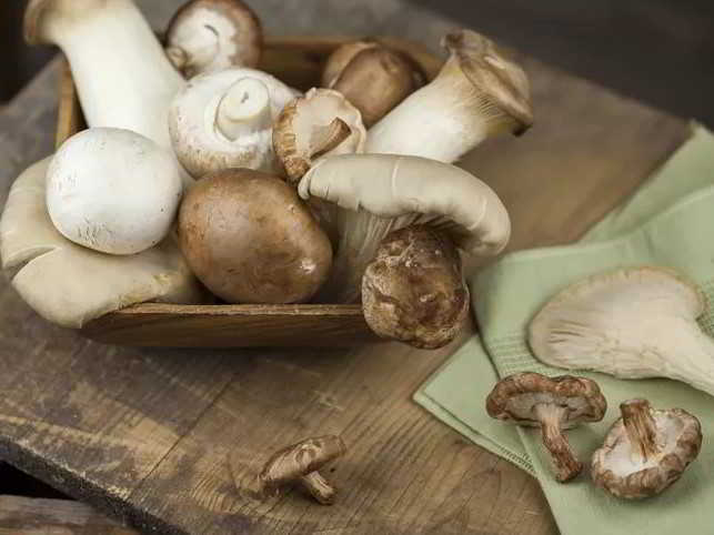 How to Rehydrate Dried Mushrooms