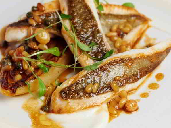 John Dory with Orange Glazed Endive
