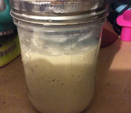 Sourdough Starter