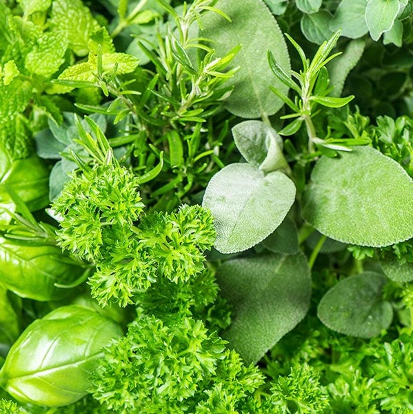 Herbs