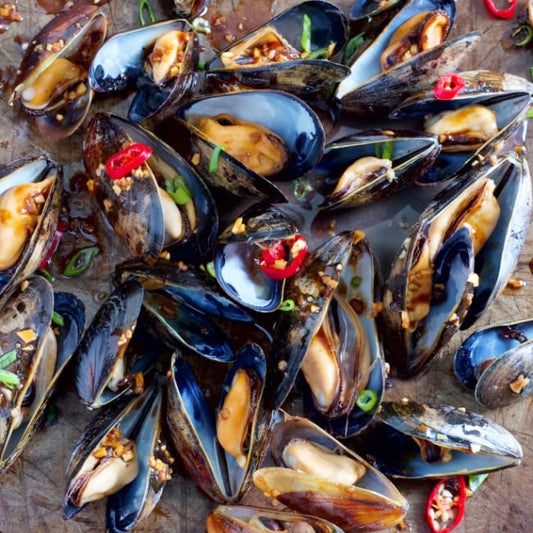 Black Bean Mussels with Beer