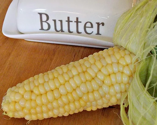 Corn-on-the-Cob in the Husk