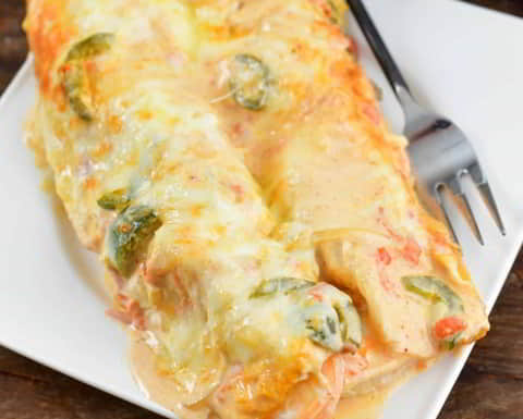 Creamy Shrimp Enchiladas