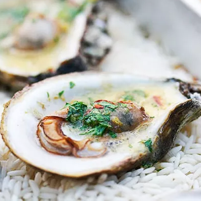 Grilled Oysters