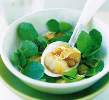 Scallops in Mustard Sauce