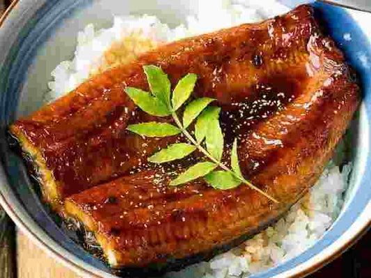 Unadon (Eel Rice)
